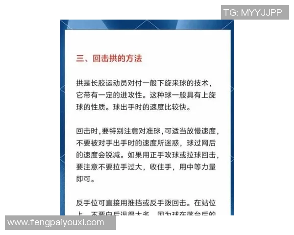 张敏独家分享乒乓球技巧与心得助你提升球技的全攻略