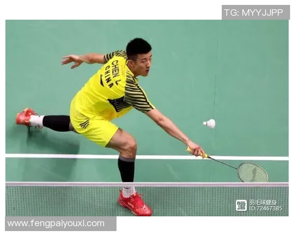 深圳羽毛球队夺冠之路最新比赛经验分享TOP10解析
